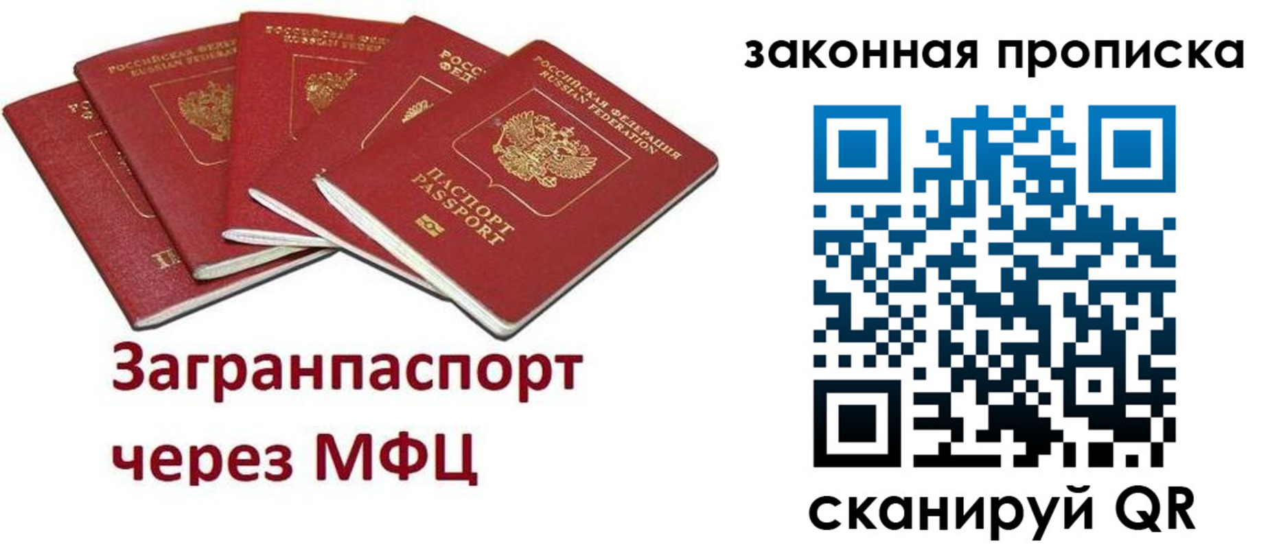 временная регистрация поиск в Камчатской области